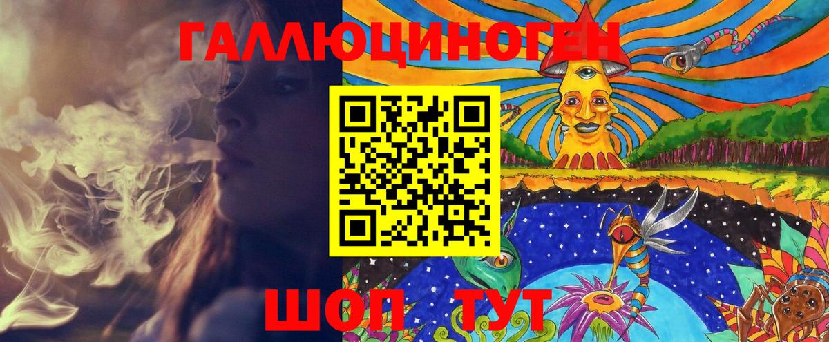 Псилоцибиновые грибы Psilocybe  что такое   Коммунар  Вход с VPN 