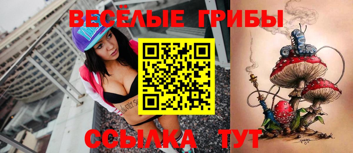 Галлюциногенные грибы Psilocybine cubensis Коммунар